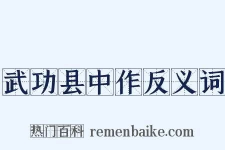 武功县中作反义词是什么意思的图片